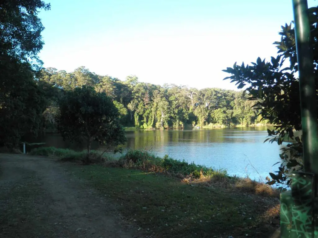 Alt text: Shaded walking trail alongside the Oxenford Causeway with still water reflecting surrounding lush greenery and dense forest, Gold Coast.