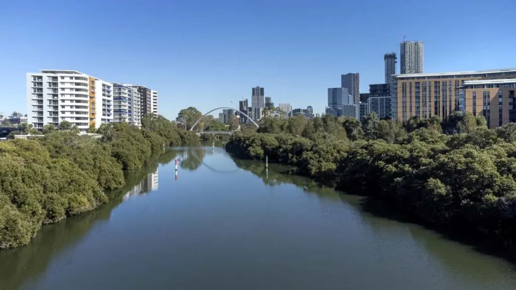 Mobile physiotherapy session near Parramatta River and CommBank Stadium