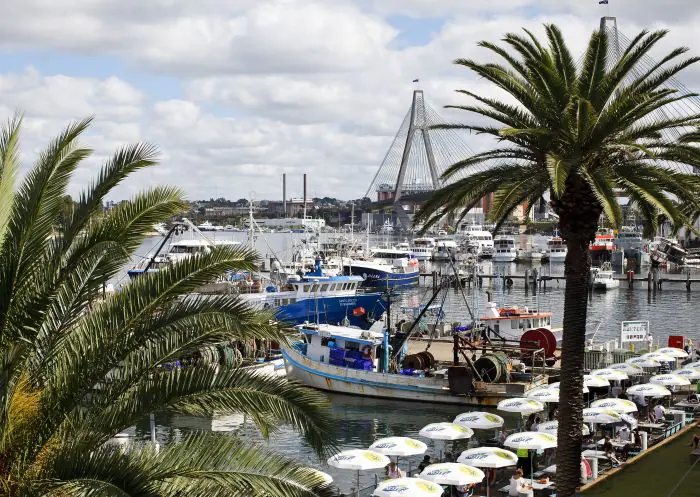 Mobile physiotherapy session in a Pyrmont apartment overlooking the harbour