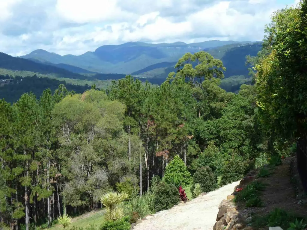 Home physiotherapy in Tallai bushland residence